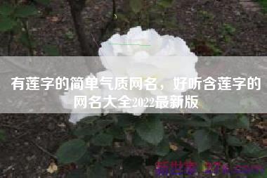 有莲字的简单气质网名，好听含莲字的网名大全2022最新版