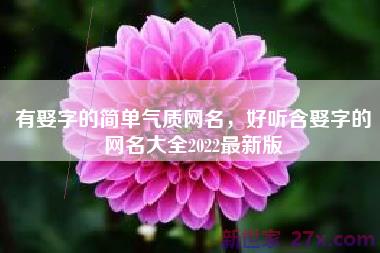 有娶字的简单气质网名，好听含娶字的网名大全2022最新版