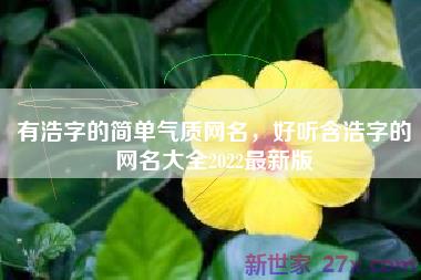 有浩字的简单气质网名，好听含浩字的网名大全2022最新版