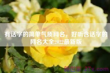 有话字的简单气质网名，好听含话字的网名大全2022最新版