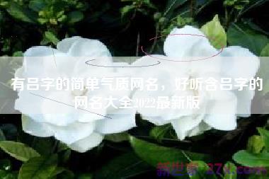 有吕字的简单气质网名，好听含吕字的网名大全2022最新版