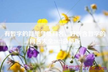 有暂字的简单气质网名，好听含暂字的网名大全2022最新版