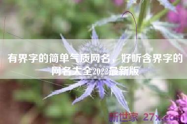 有界字的简单气质网名，好听含界字的网名大全2022最新版