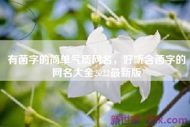 有菌字的简单气质网名，好听含菌字的网名大全2022最新版