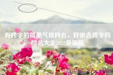 有跨字的简单气质网名，好听含跨字的网名大全2022最新版