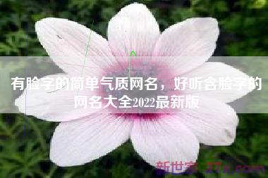 有脸字的简单气质网名，好听含脸字的网名大全2022最新版