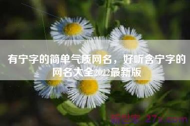 有宁字的简单气质网名，好听含宁字的网名大全2022最新版