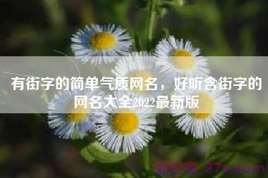 有街字的简单气质网名，好听含街字的网名大全2022最新版