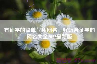 有征字的简单气质网名，好听含征字的网名大全2022最新版