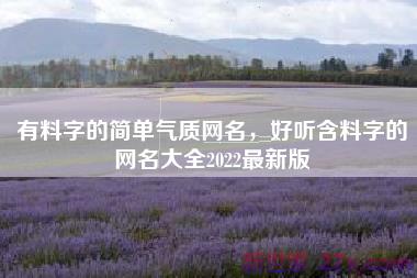 有料字的简单气质网名，好听含料字的网名大全2022最新版