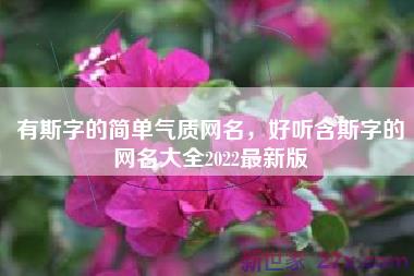有斯字的简单气质网名，好听含斯字的网名大全2022最新版