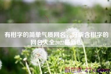 有柑字的简单气质网名，好听含柑字的网名大全2022最新版