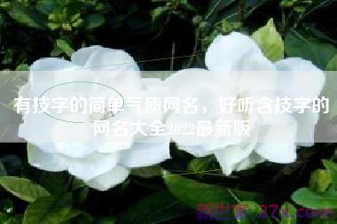有技字的简单气质网名，好听含技字的网名大全2022最新版