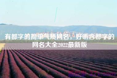 有都字的简单气质网名，好听含都字的网名大全2022最新版