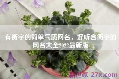 有衡字的简单气质网名，好听含衡字的网名大全2022最新版