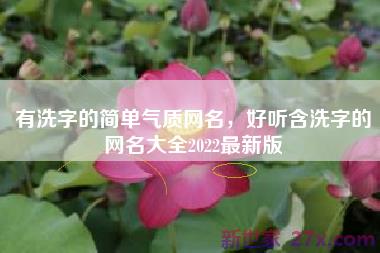 有洗字的简单气质网名，好听含洗字的网名大全2022最新版