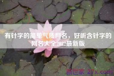 有针字的简单气质网名，好听含针字的网名大全2022最新版