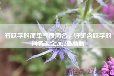 有跃字的简单气质网名，好听含跃字的网名大全2022最新版