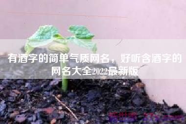 有酒字的简单气质网名，好听含酒字的网名大全2022最新版
