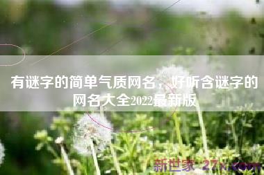有谜字的简单气质网名，好听含谜字的网名大全2022最新版