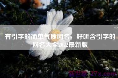 有引字的简单气质网名，好听含引字的网名大全2022最新版