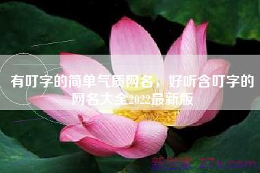 有叮字的简单气质网名，好听含叮字的网名大全2022最新版