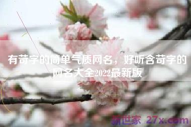 有苛字的简单气质网名，好听含苛字的网名大全2022最新版