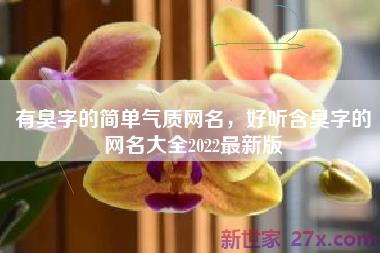 有臭字的简单气质网名，好听含臭字的网名大全2022最新版