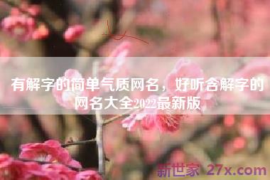 有解字的简单气质网名，好听含解字的网名大全2022最新版