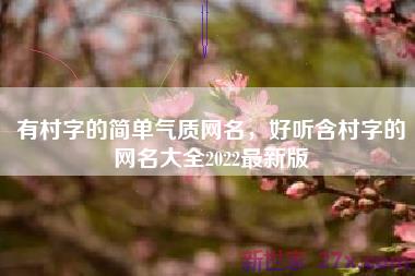 有村字的简单气质网名，好听含村字的网名大全2022最新版