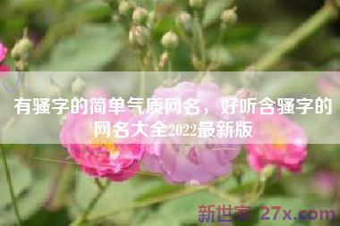 有骚字的简单气质网名，好听含骚字的网名大全2022最新版