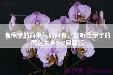 有综字的简单气质网名，好听含综字的网名大全2022最新版