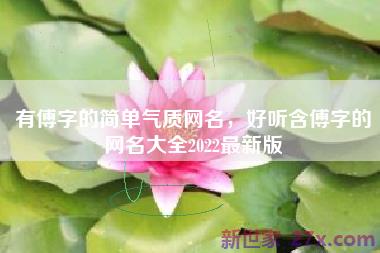 有傅字的简单气质网名，好听含傅字的网名大全2022最新版