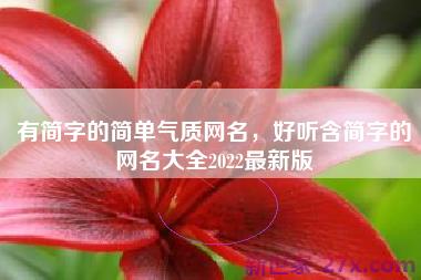 有简字的简单气质网名，好听含简字的网名大全2022最新版