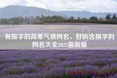 有损字的简单气质网名，好听含损字的网名大全2022最新版