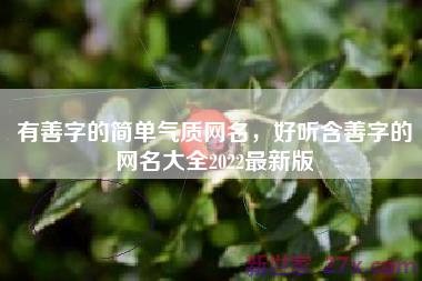 有善字的简单气质网名，好听含善字的网名大全2022最新版