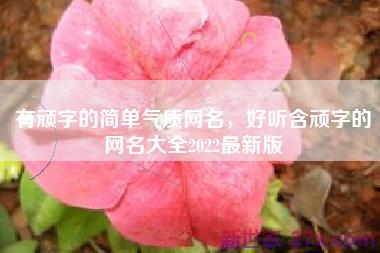 有顽字的简单气质网名，好听含顽字的网名大全2022最新版
