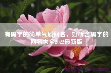 有黑字的简单气质网名，好听含黑字的网名大全2022最新版