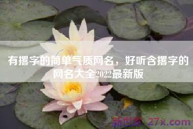有撂字的简单气质网名，好听含撂字的网名大全2022最新版