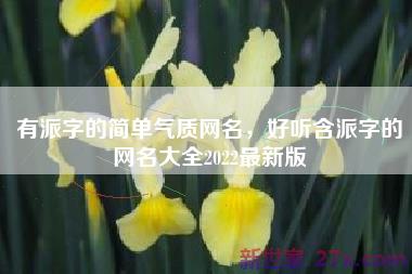 有派字的简单气质网名，好听含派字的网名大全2022最新版