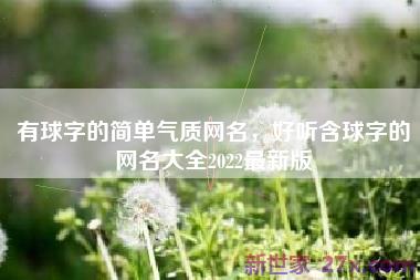 有球字的简单气质网名，好听含球字的网名大全2022最新版