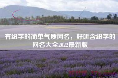 有纽字的简单气质网名，好听含纽字的网名大全2022最新版