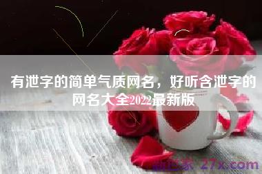 有泄字的简单气质网名，好听含泄字的网名大全2022最新版