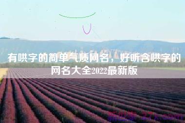 有哄字的简单气质网名，好听含哄字的网名大全2022最新版