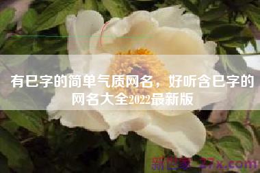 有巳字的简单气质网名，好听含巳字的网名大全2022最新版