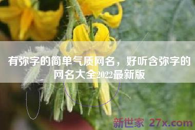 有弥字的简单气质网名，好听含弥字的网名大全2022最新版