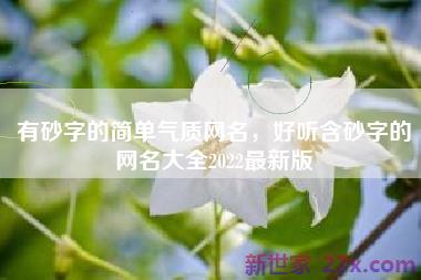 有砂字的简单气质网名，好听含砂字的网名大全2022最新版