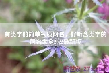 有类字的简单气质网名，好听含类字的网名大全2022最新版