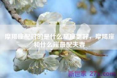 摩羯座配对的是什么星座更好，摩羯座和什么座最配夫妻