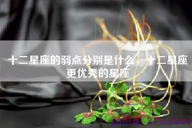 十二星座的弱点分别是什么，十二星座更优秀的星座